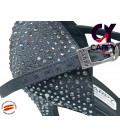 Zapato de baile CARPY modelo 1020.095.511